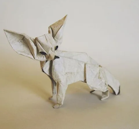 Fennec fox