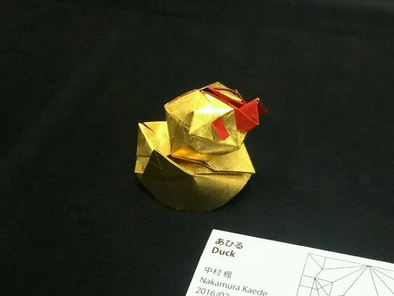 Duck