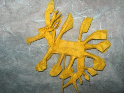 Leafy sea dragon