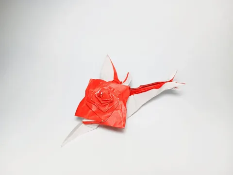 Rose Snail