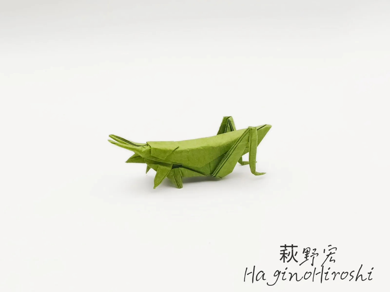 Swordshorn Locust