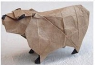 Capybara