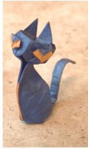 Cat 1