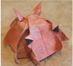 Flapjack octopus
