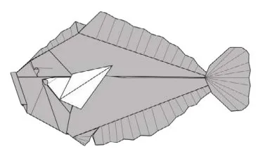 Pole flounder