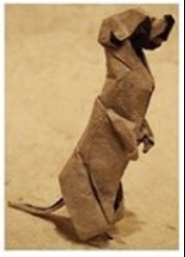 Meerkat
