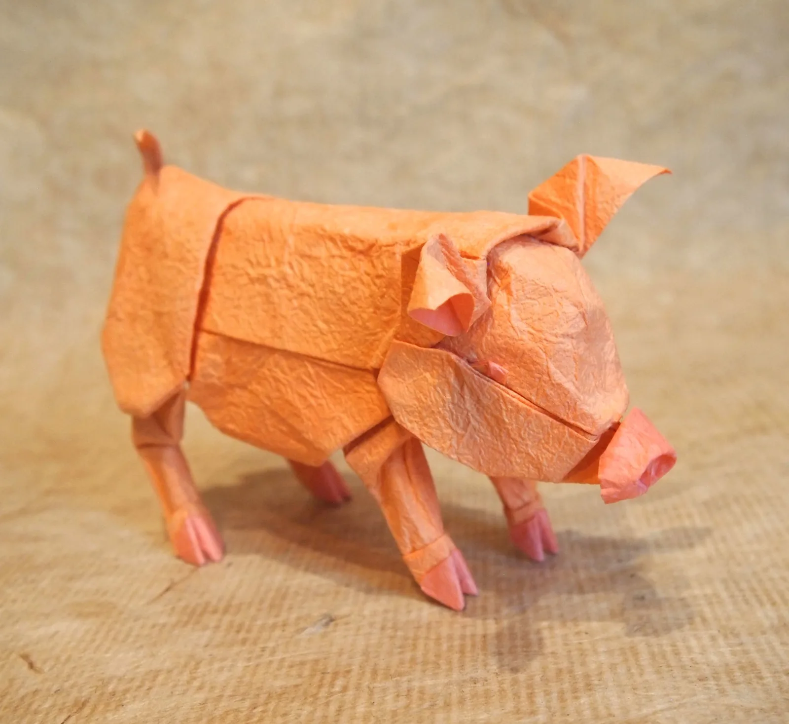 Modular pig