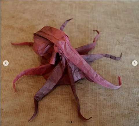 Octopus