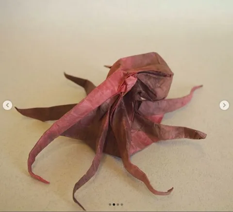 Octopus