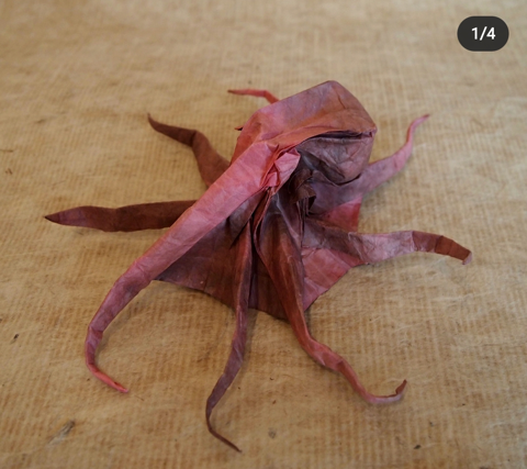 Octopus