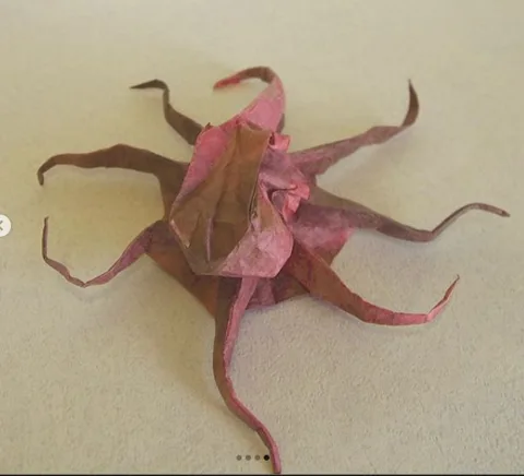 Octopus