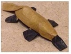 Platypus