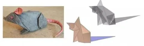 Rat (PD) (Mouse)