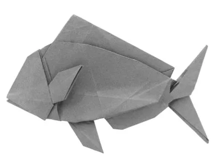 Snapper