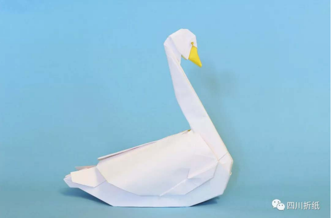 Swan