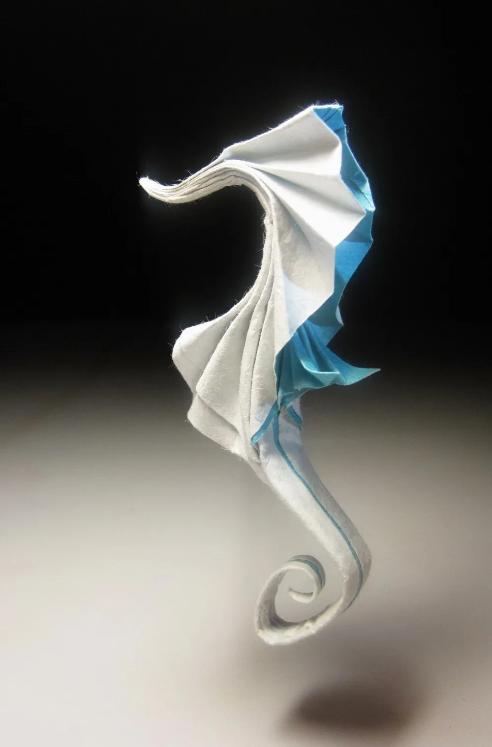 Seahorse