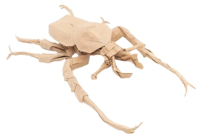 Dicronocephalus wallichi