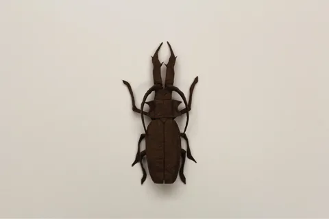 Macrodontia Cervicornis