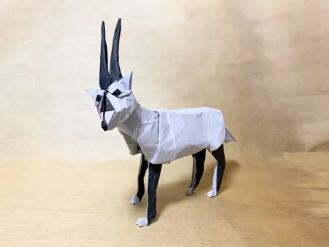 Arabian Oryx 2.5
