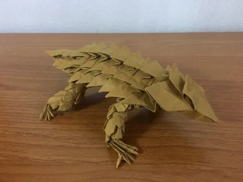 Armadillo Lizard