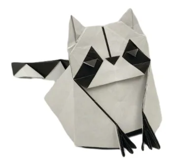 Raccoon