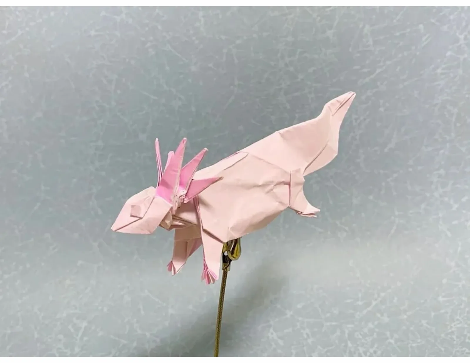 Axolotl