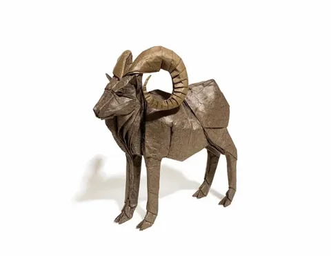 Bighorn Sheep