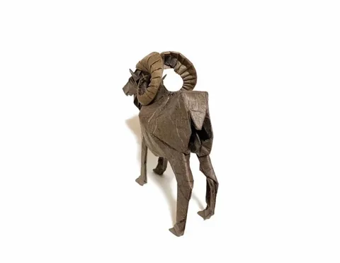 Bighorn Sheep