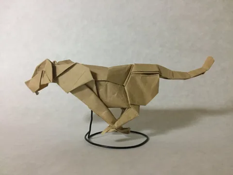 Cheetah