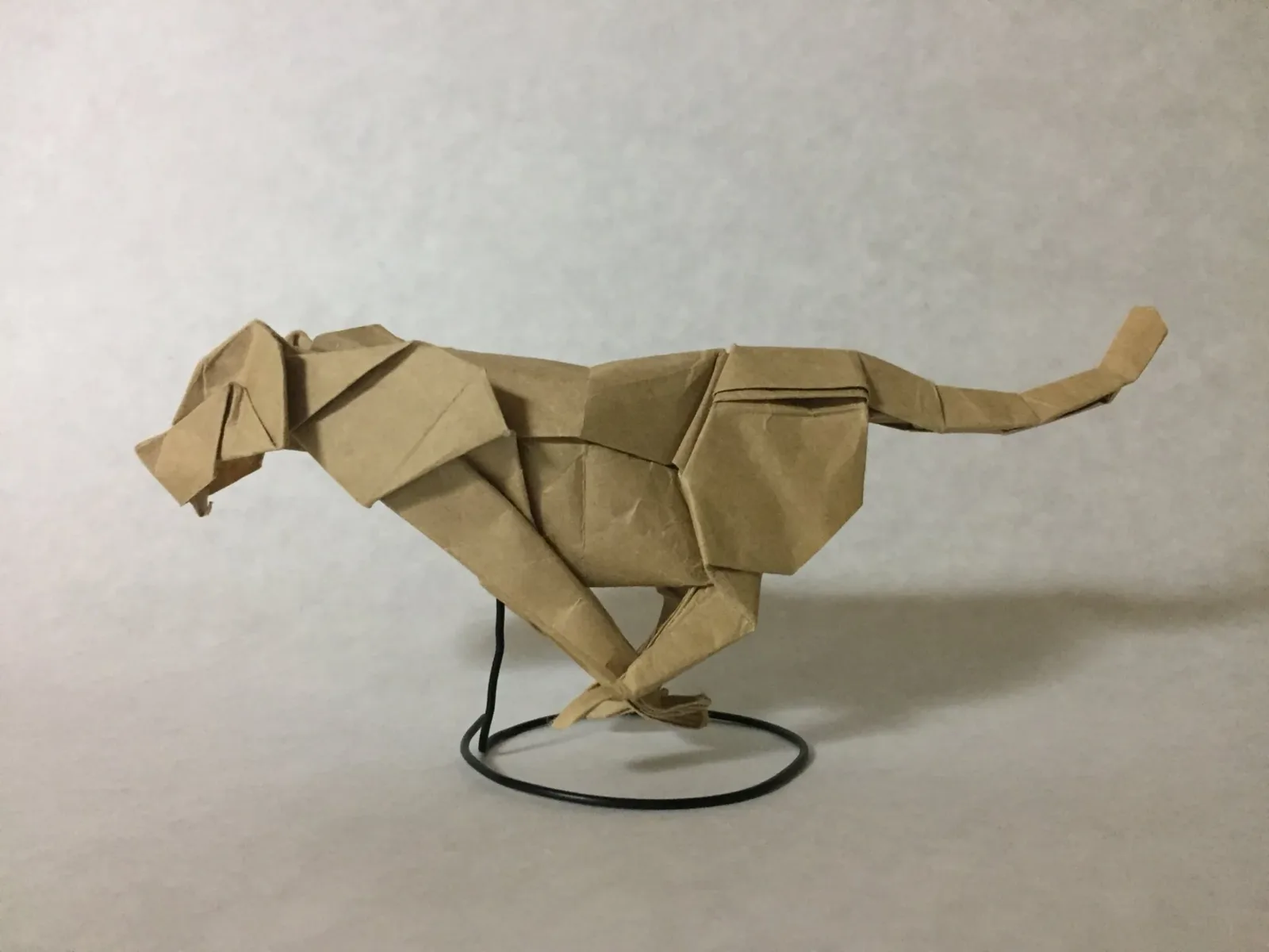 Cheetah