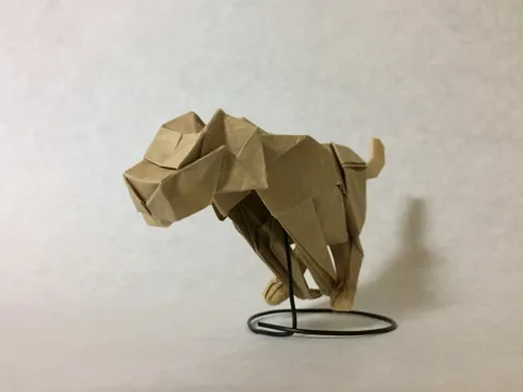 Cheetah