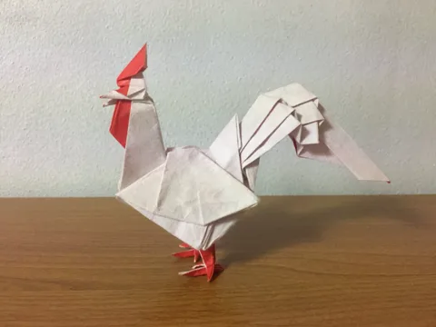Chicken