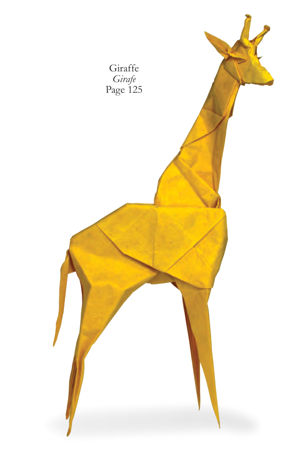 Giraffe