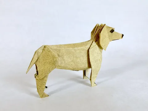 Dachshund 1.0