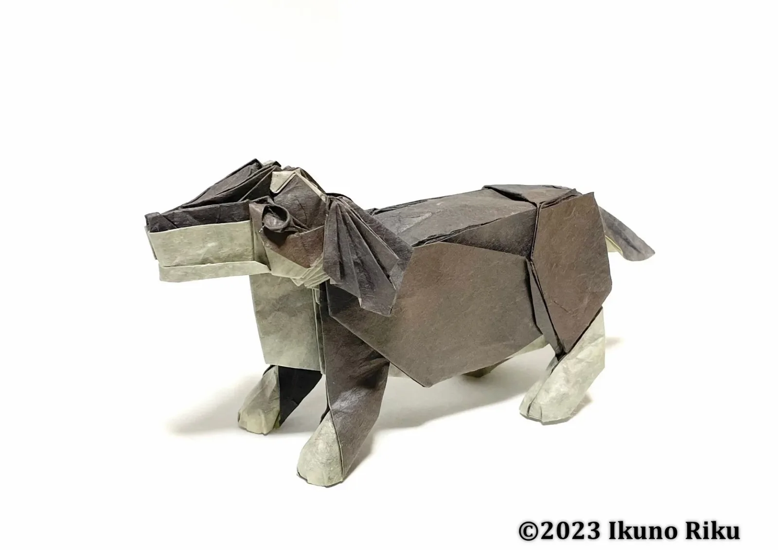 Dachshund 2.0