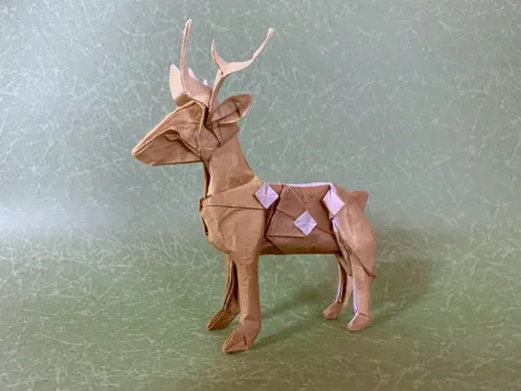 Deer