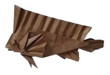 Ablabys taenianotus