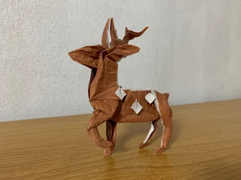 Deer
