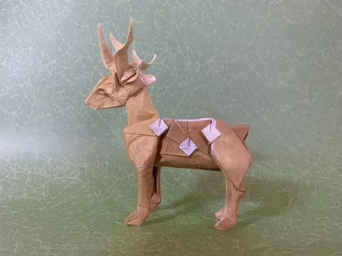 Deer