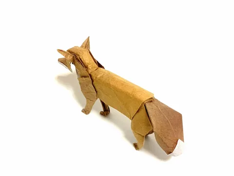 Fox