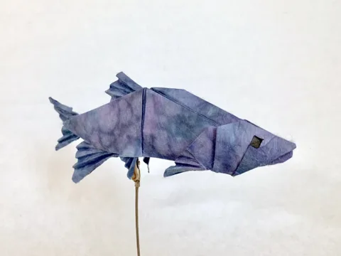 Freshwater Sprat