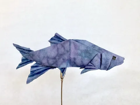 Freshwater Sprat