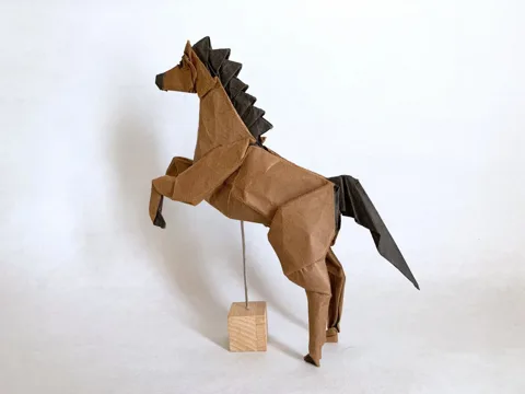 Horse 1.6