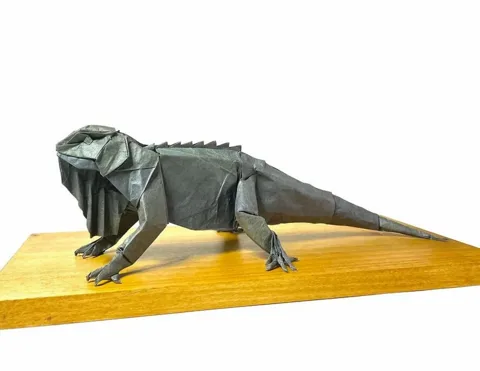 Iguana