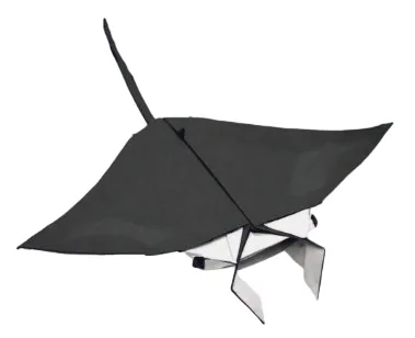 Manta