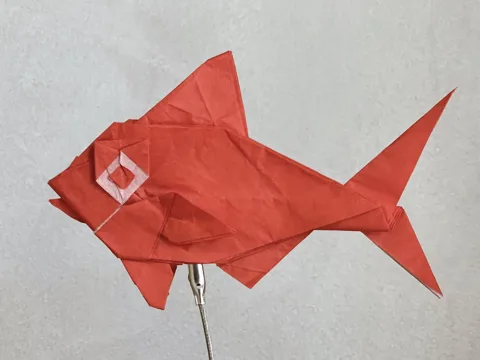 Kaneme Kaoru (Fish)