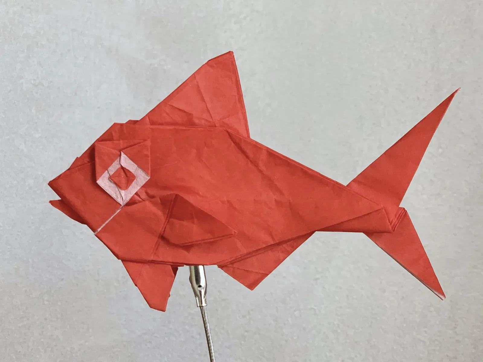 Kaneme Kaoru (Fish)