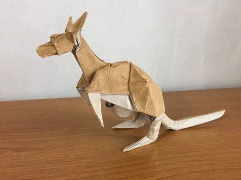 Kangaroo