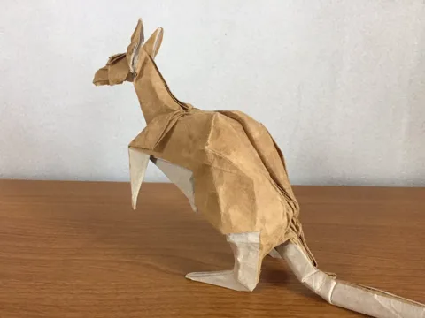 Kangaroo