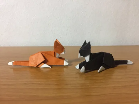 Lying Cat